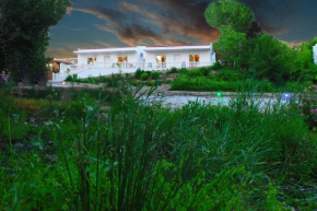 Casa da Ribeira